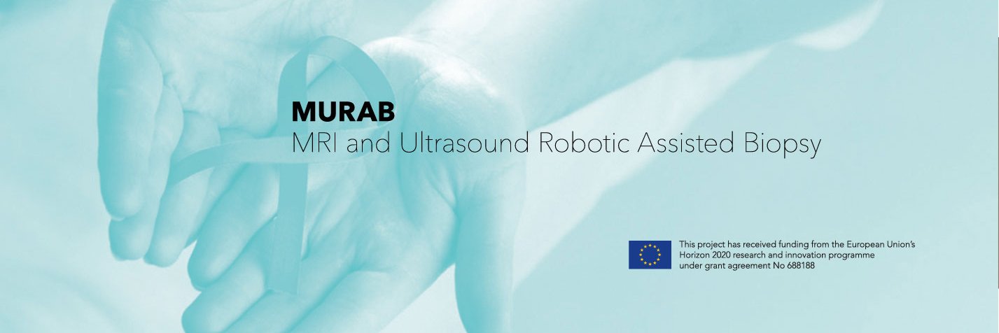 MURAB Project banner