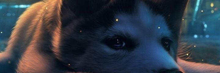 Iamceezee's profile banner image