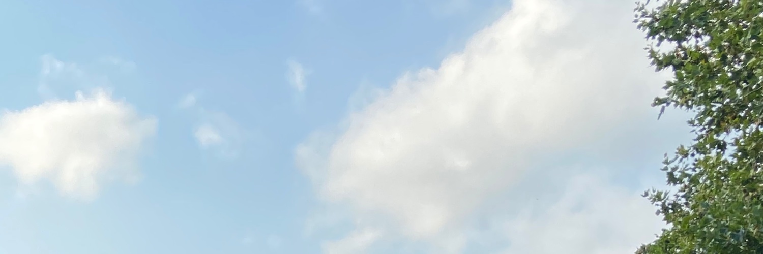 the3rdlangston's profile banner image