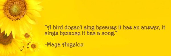 mjsol Profile Banner