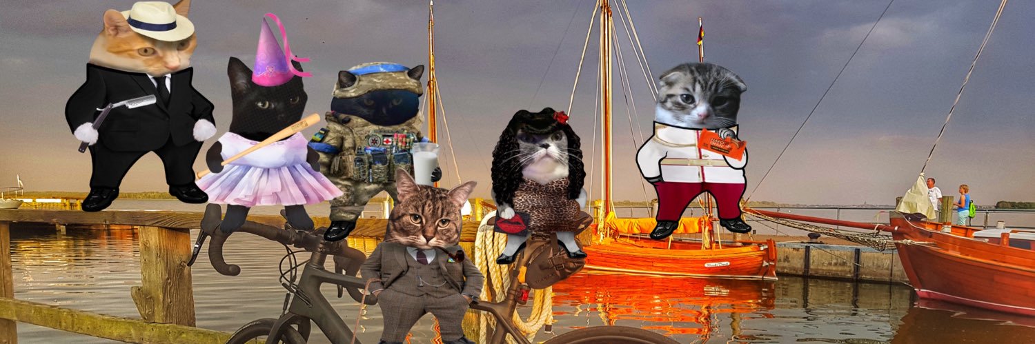 Stray Cat's banner
