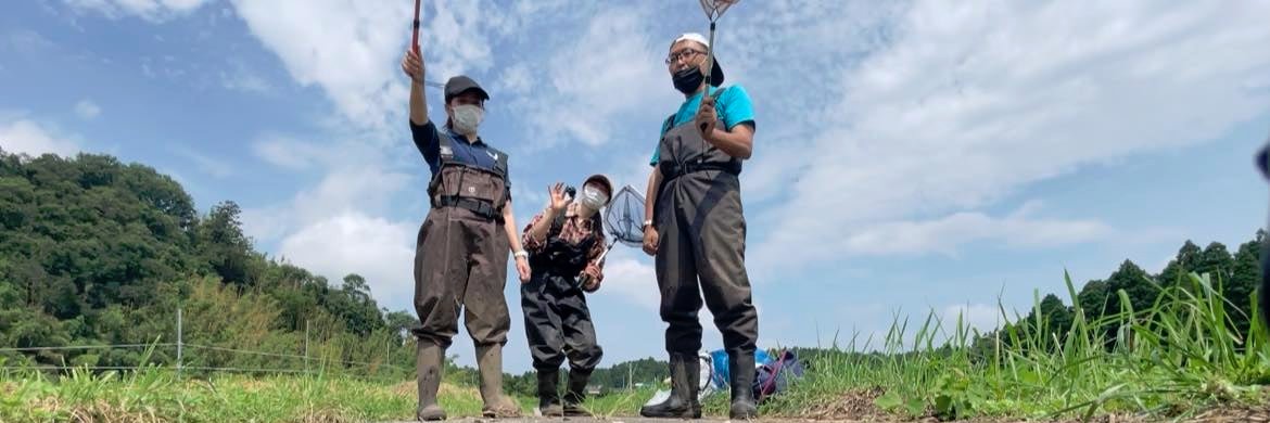 Hyper-Naturalist KK banner