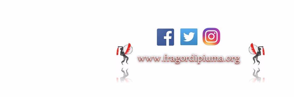 FragordiPiuma's profile banner image