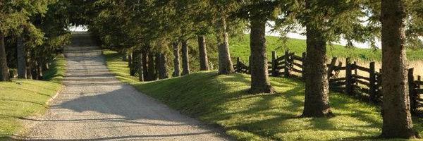 Toronto Bruce Trail banner