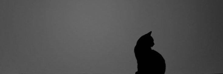 ••• banner