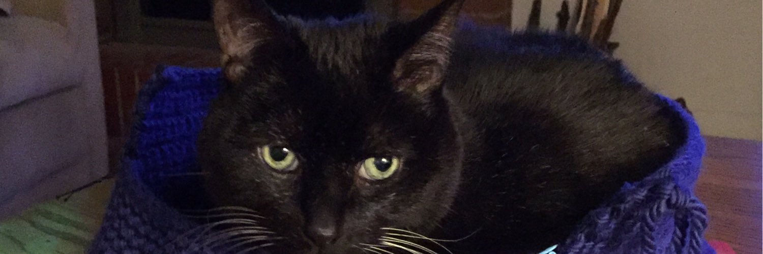 MaxytheCat's profile banner image