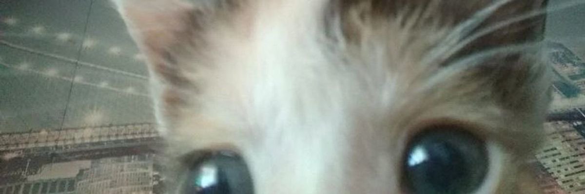 http_haizea's profile banner image