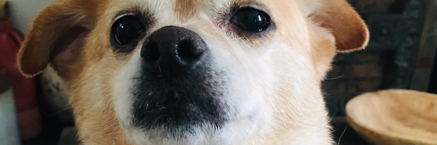 dfdawsonquin11's profile banner image