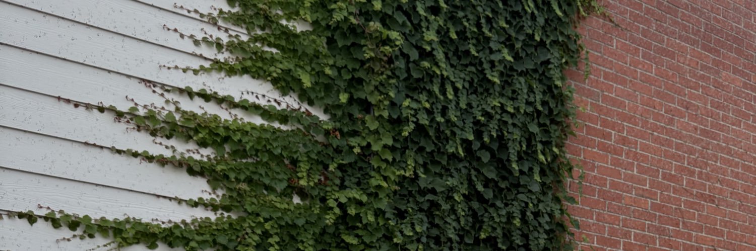 sylv1eeee's profile banner image