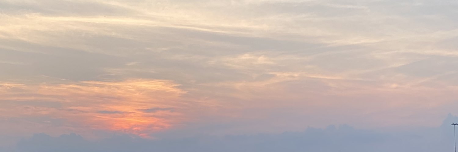 Venealvy's profile banner image