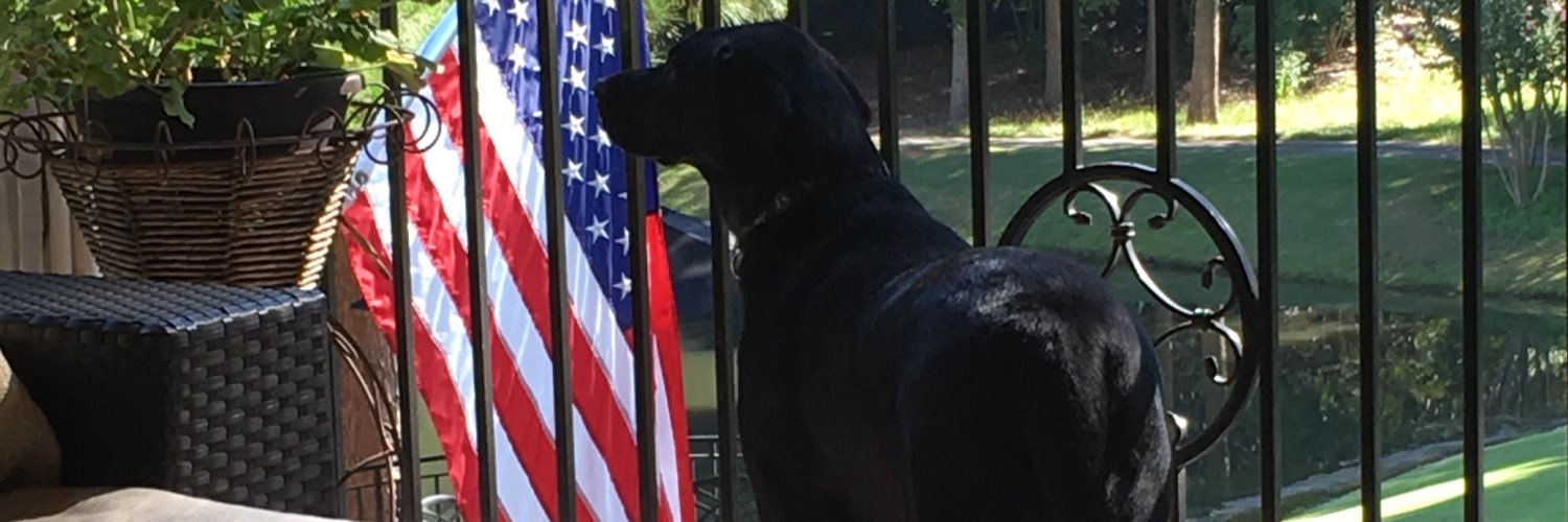 SandyDean07's profile banner image