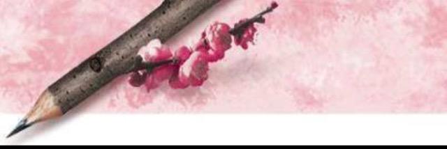 Havinser's profile banner image