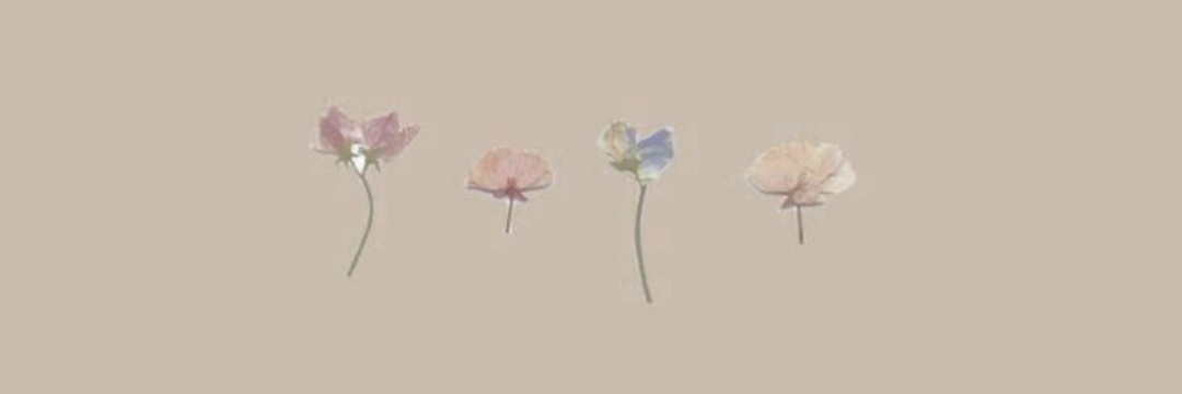 lolnoco's profile banner image