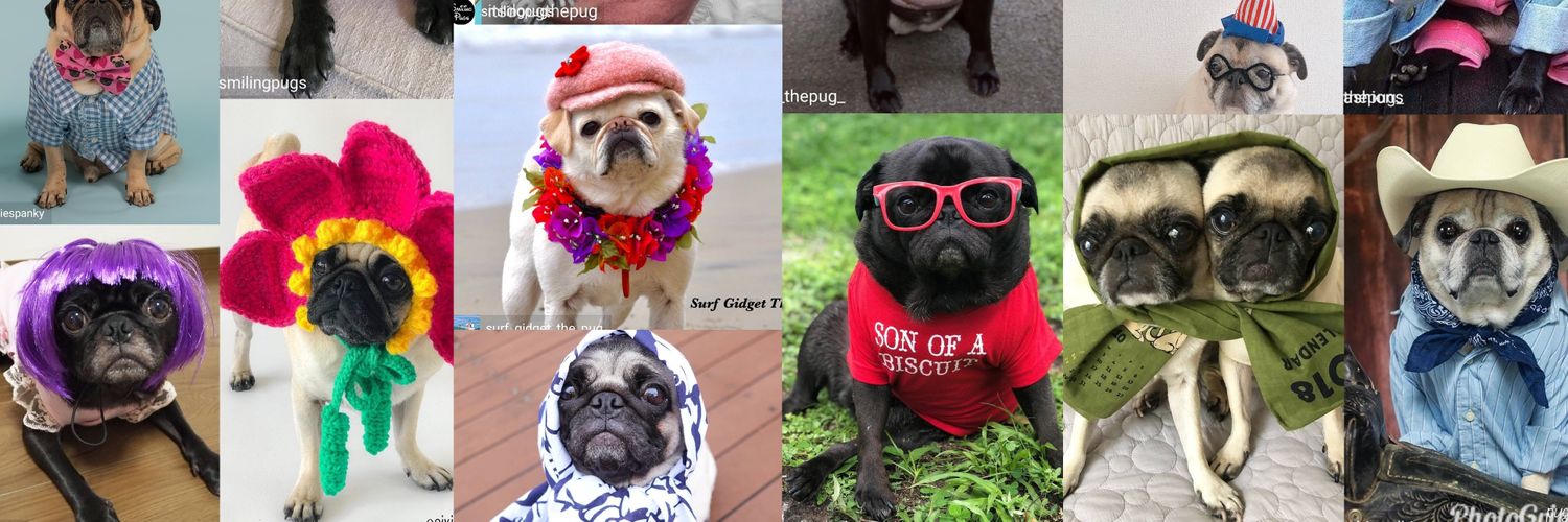 smilingpugs's profile banner image