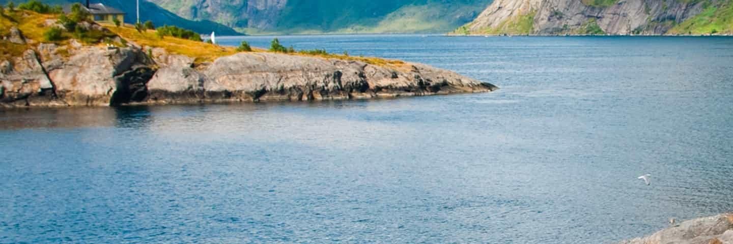 oderokidi's profile banner image