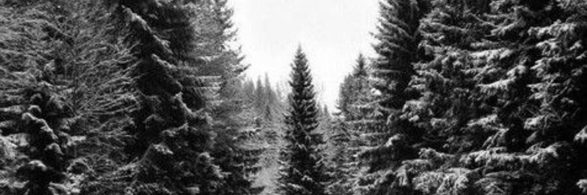 clairemkeller's profile banner image