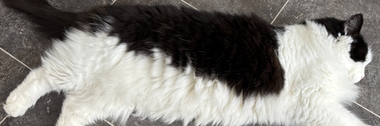 Billie & Charlie banner