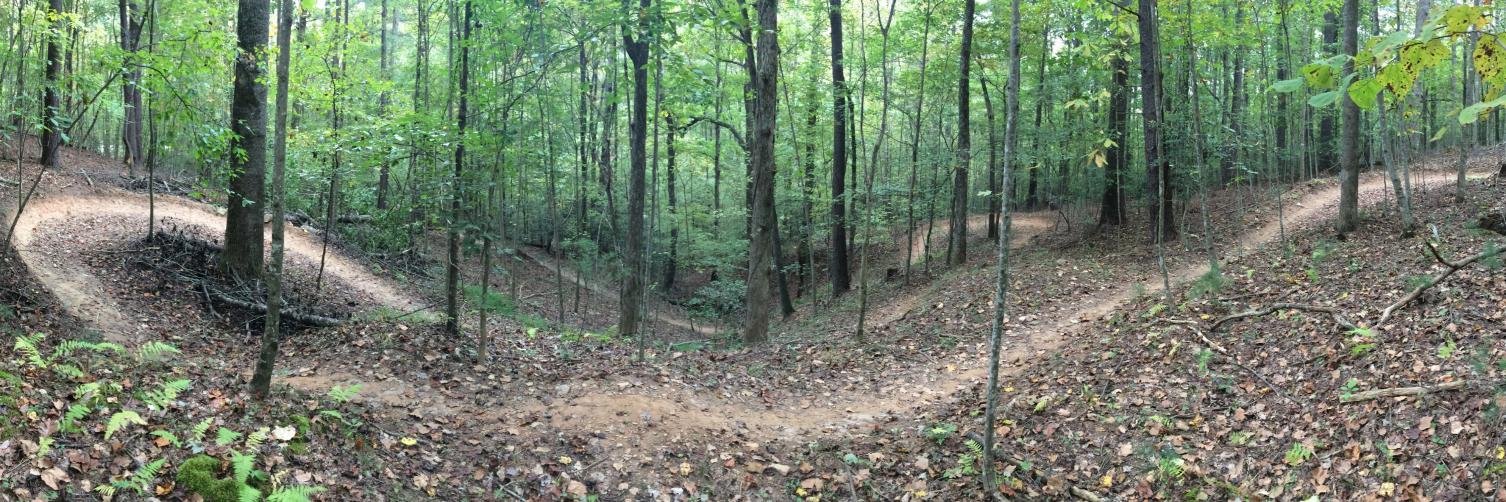 Daniel Cluley 🧢💜🦁💙🌞 banner