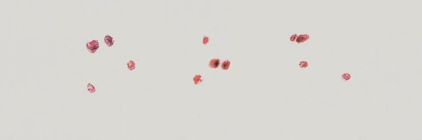 MAlnaseem Profile Banner