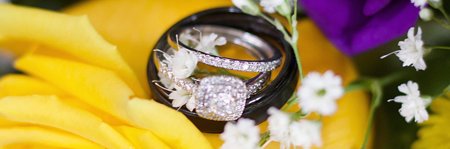 Madison_Pinkard's profile banner image