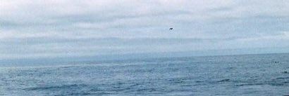 polyamonn's profile banner image