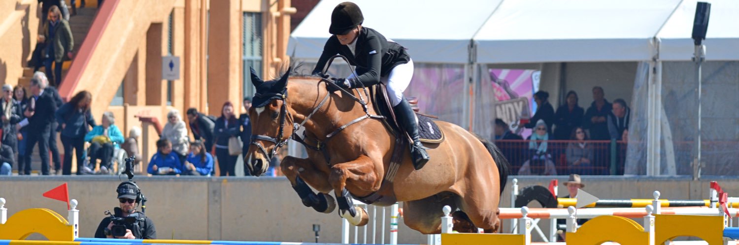 bartonequine's profile banner image
