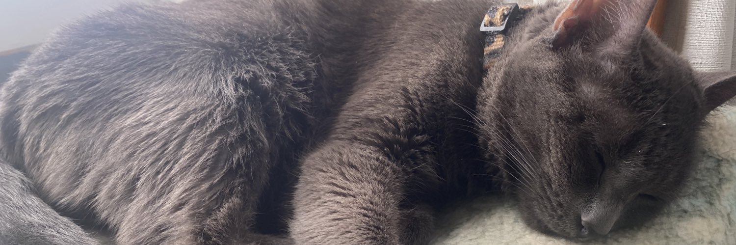 antonionoboa91's profile banner image