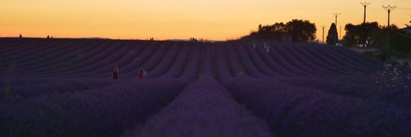 btxlictian's profile banner image