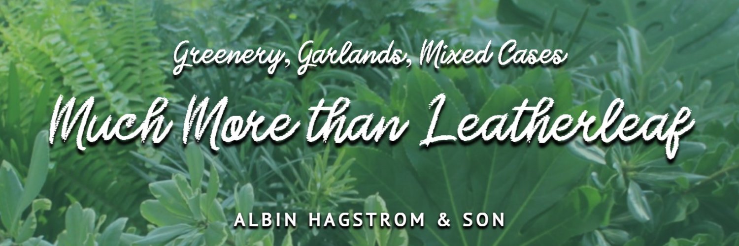 MrLeatherleaf's profile banner image