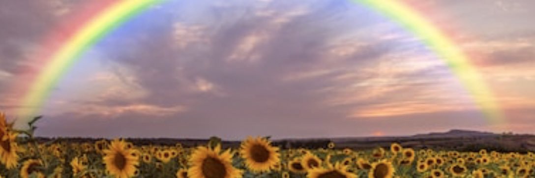 Black Bonnie 🖤🪬 banner