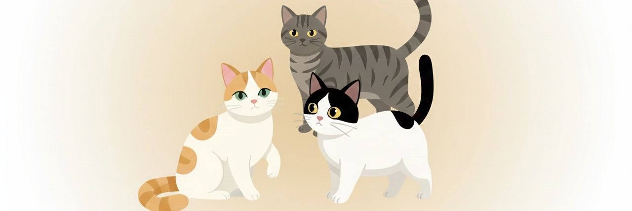 Muffin_DZ's profile banner image