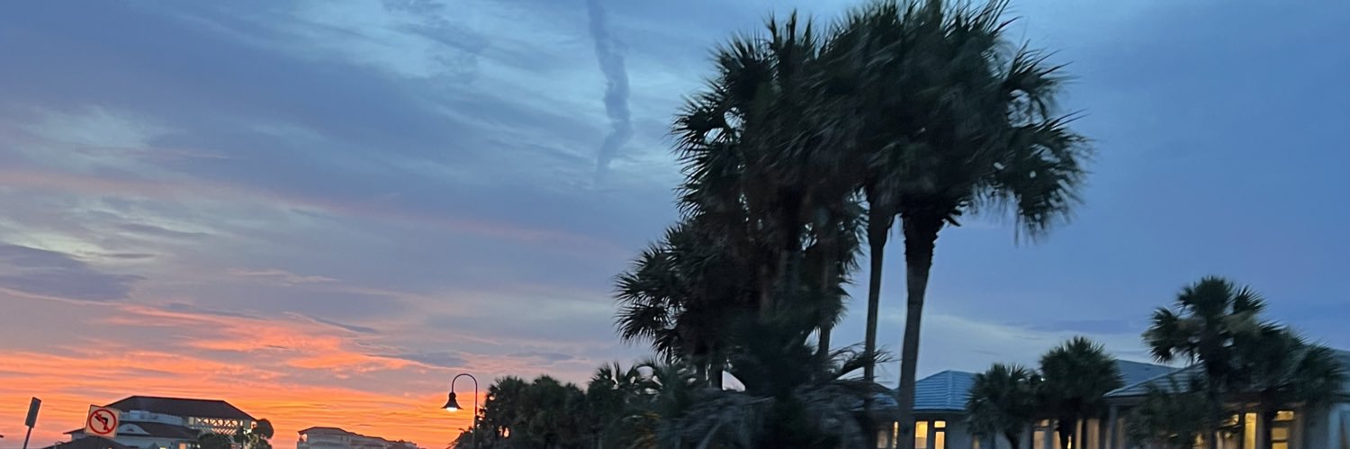 _chantelgrayyy's profile banner image