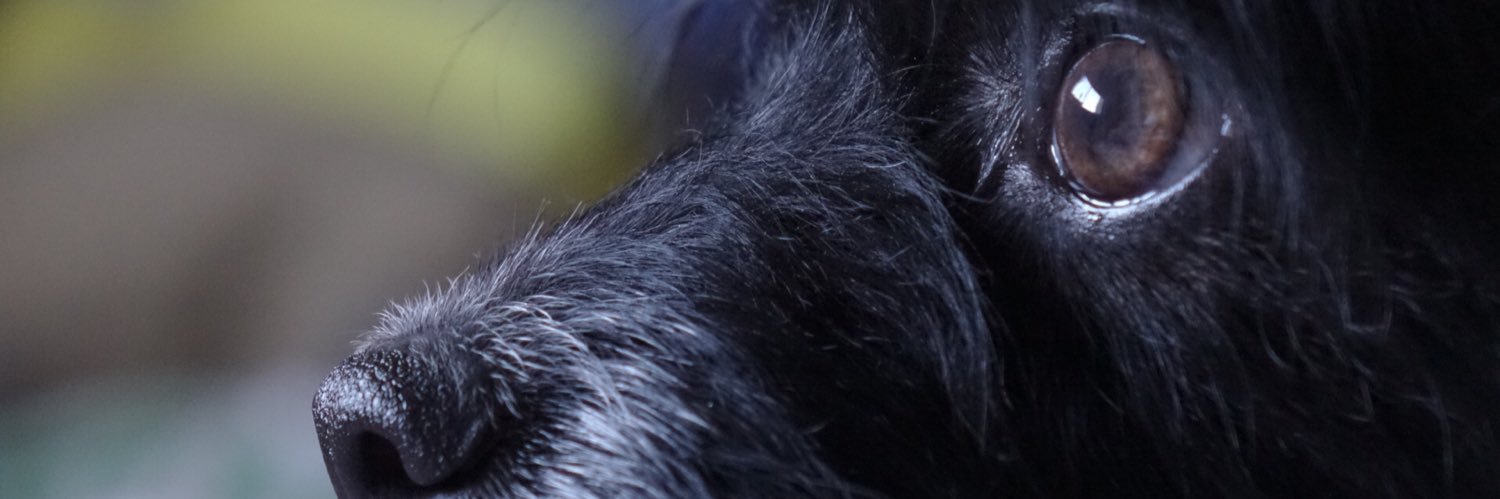 AnnyAstral's profile banner image