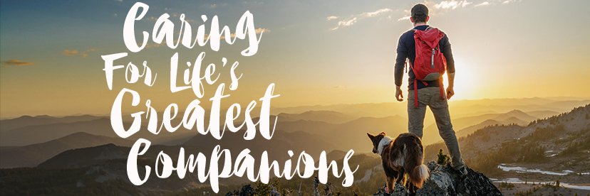 CalgaryTrailPet's profile banner image