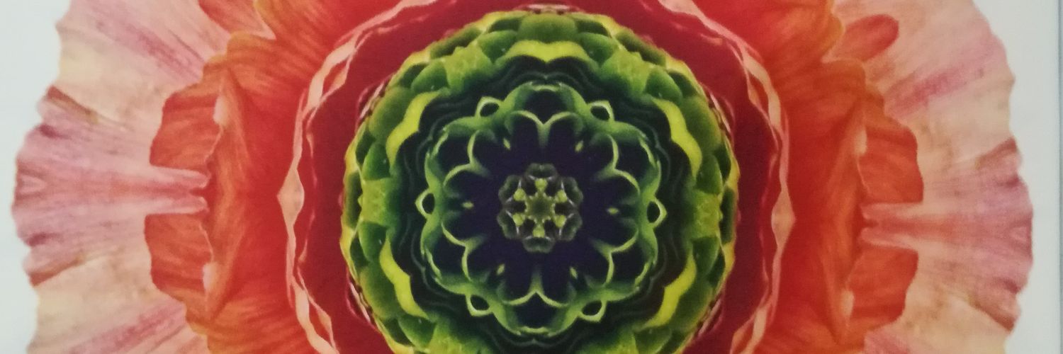 Fatemeh Hosseini banner