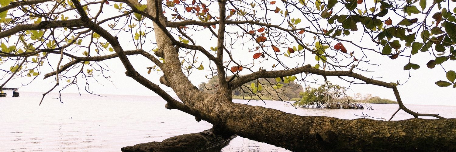 andrew_ms91's profile banner image