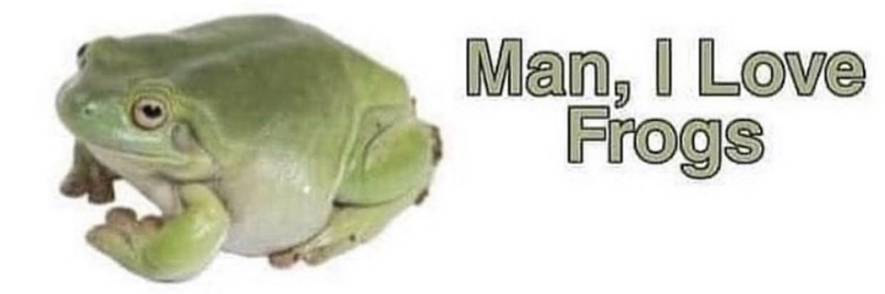 froglovaah's profile banner image