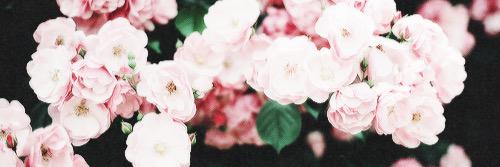 emmaw94x's profile banner image