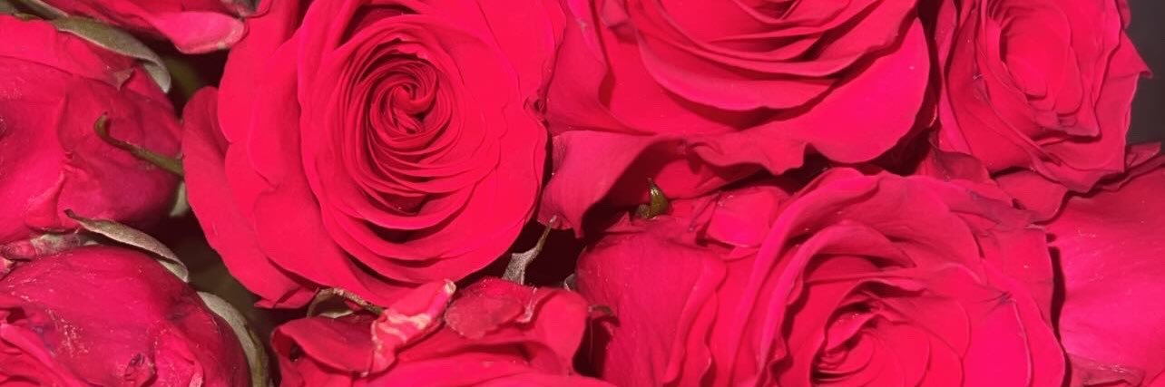 LikeAleexis_'s profile banner image