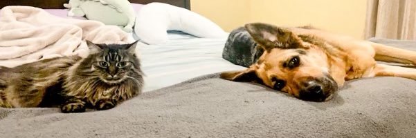 mikebarb26's profile banner image