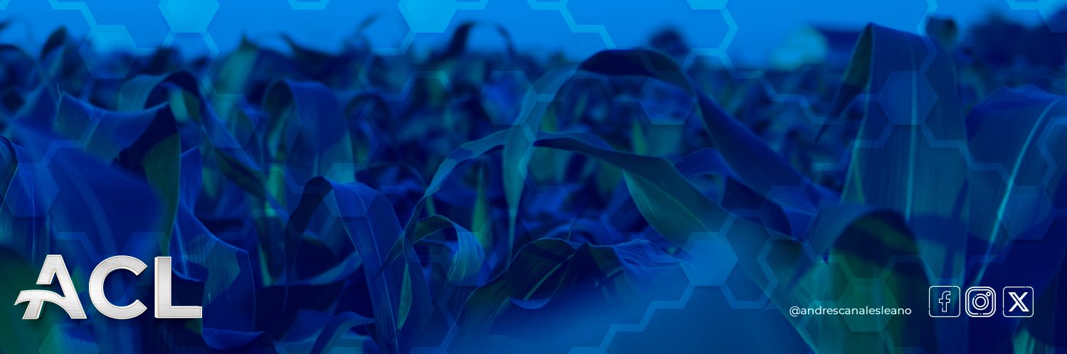 CharroCanalesL's profile banner image