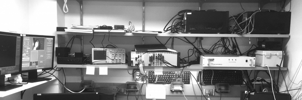 stevewcchang Profile Banner