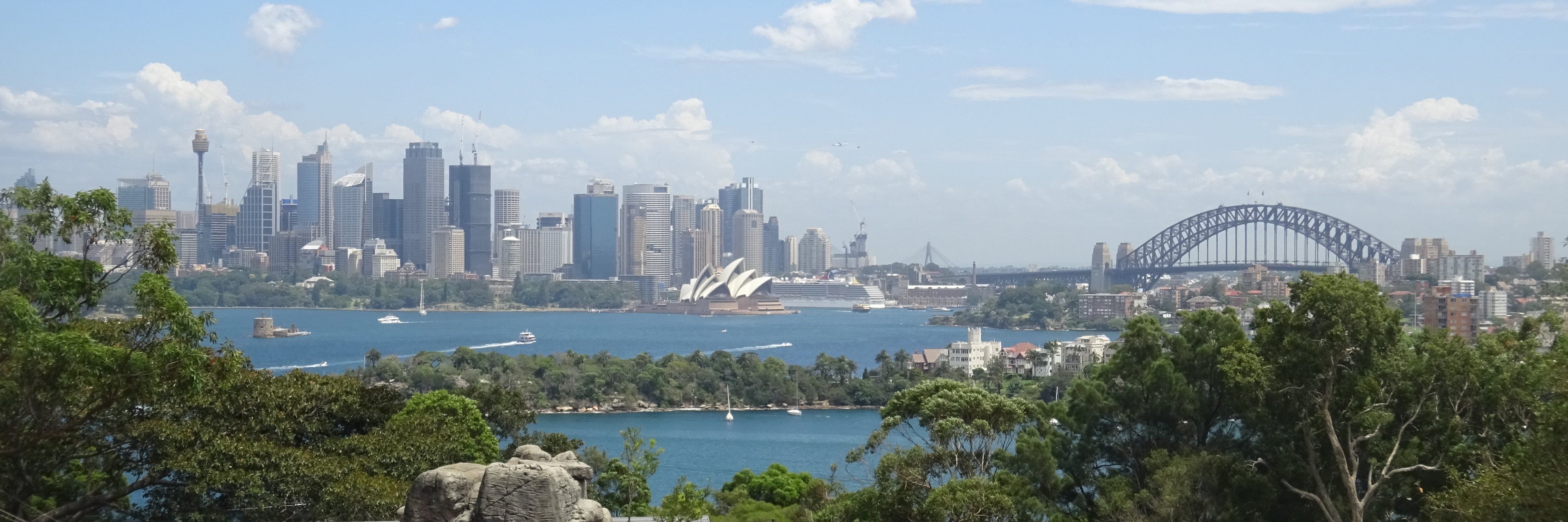 David Sullivan banner