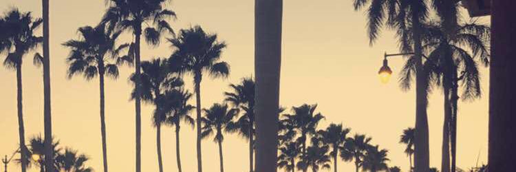 AdrienJKing's profile banner image