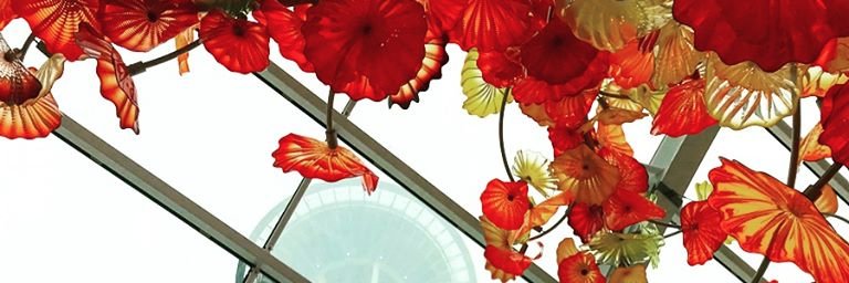 jessica markham banner