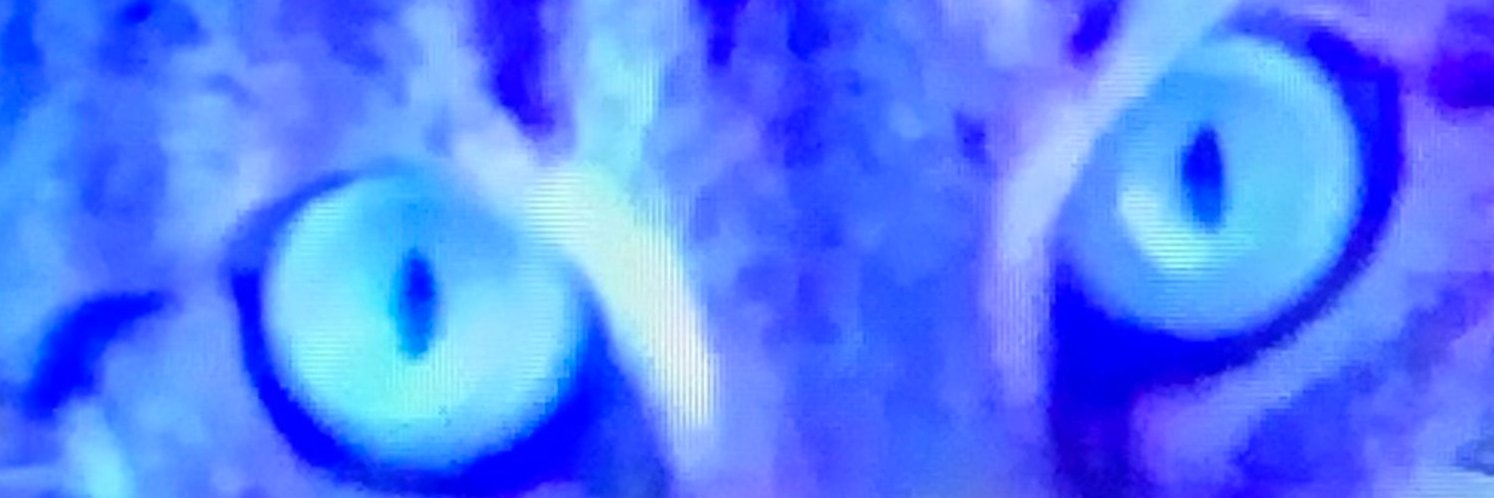 statesidekarma's profile banner image