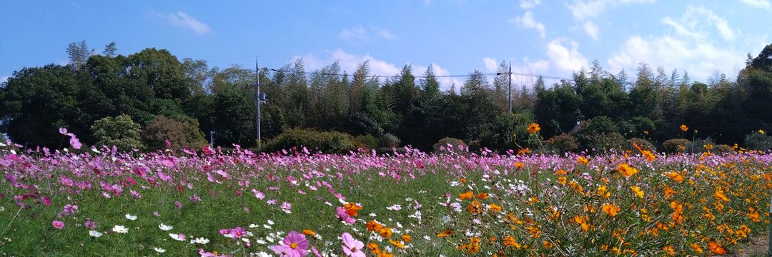 fuminist_pon's profile banner image