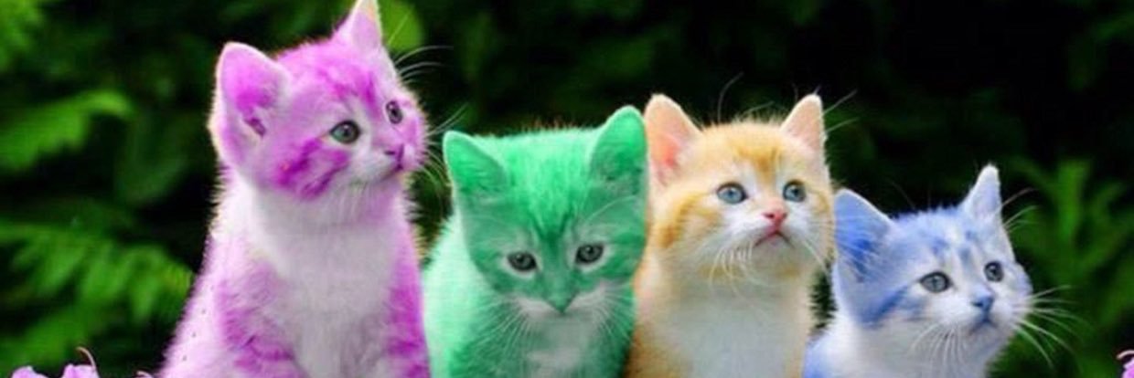 KittyQueen84's profile banner image