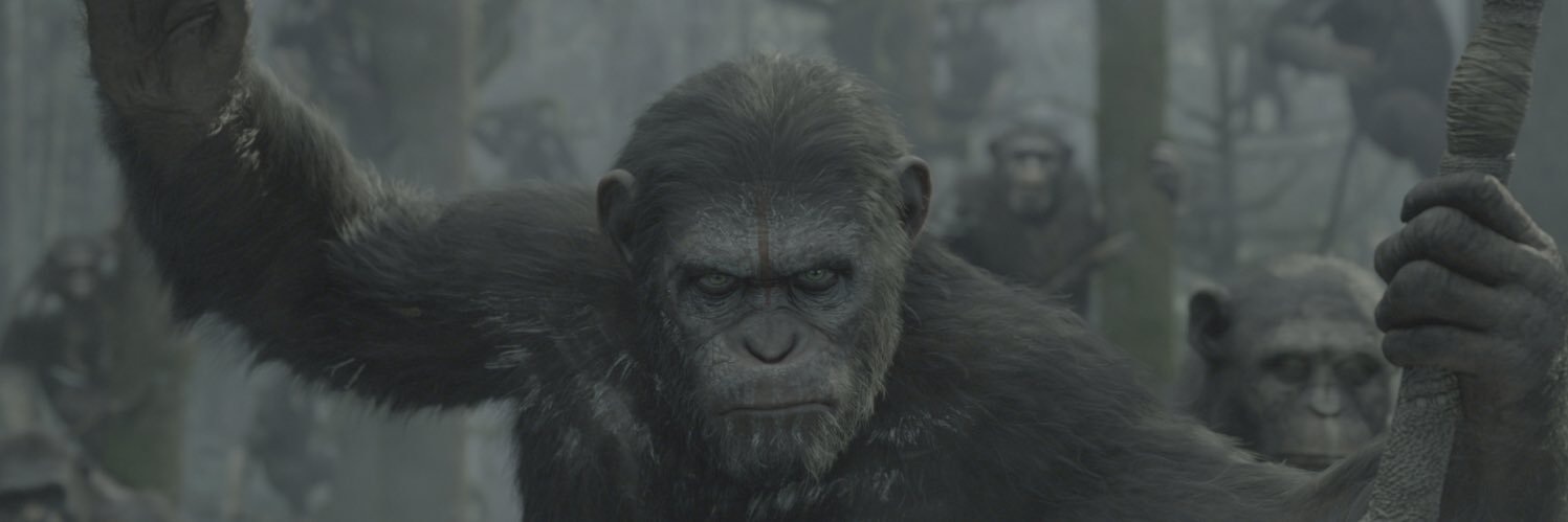 Ethan Royer🦍 banner
