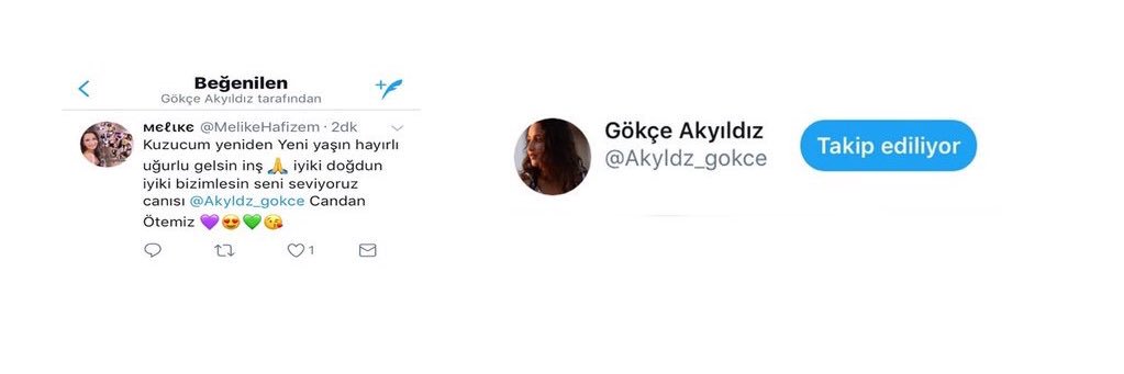 HafizemMelike's profile banner image